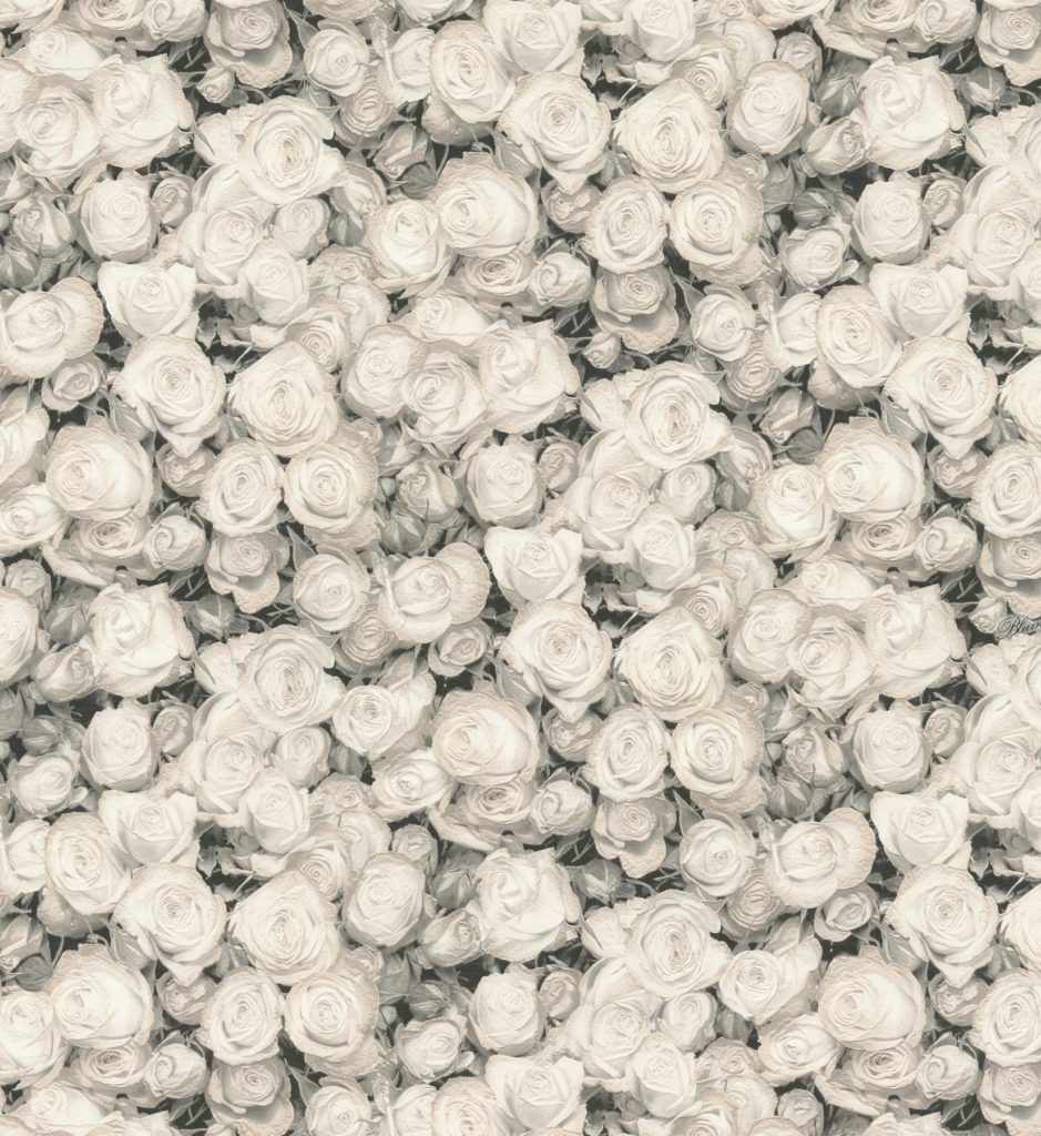 Blumarine Home Wallpaper +91 8800900709 Aarcee Wallpapers