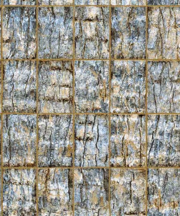 interior-wallpaper-delhi